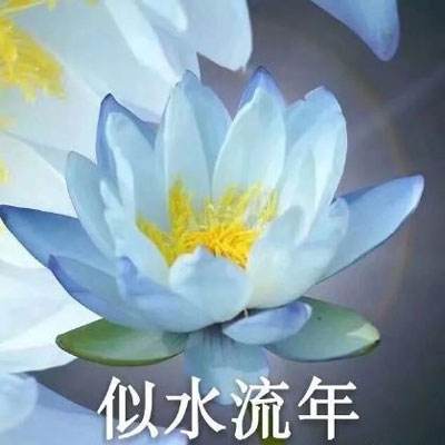 衣服我最美最新版下载