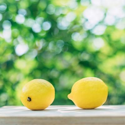 匿名信审判者破解版下载